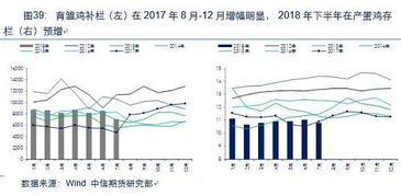 万字干货 苹果 玉米 油脂 棉花 农产品后市运行逻辑及交易策略展望