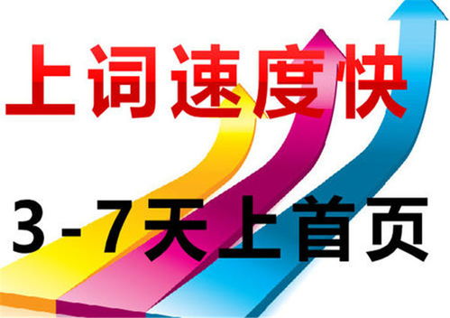 官网建设 市北一站式官网建设哪家靠谱 永诚网络