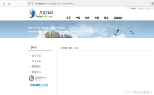cms网站系统分析 74cms bagecms yccms 漏洞测试