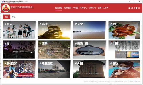 逐浪软件智图 全网发布 面向企业级的智能图库